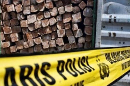 Polres Sintang Tangkap 390 Batang Kayu Ilegal
