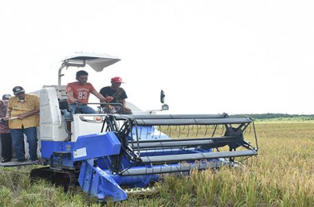 Jarot Ingin Kelam Jadi Lumbung Padi