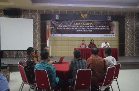 Siapkan RAD Kelapa Sawit Berkelanjutan