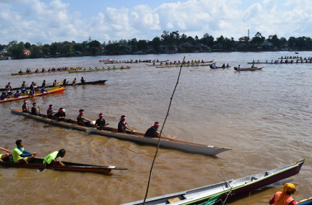 Puluhan Sampan Bidar Membelah Kapuas