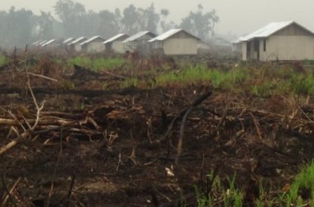 Pemerintah Pusat Bangun 50 Rumah Transmigran Lokal di Sintang