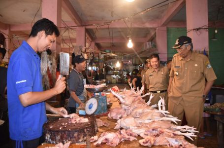 Harga Ayam Bisa Capai Rp65 Ribu Perkilogram