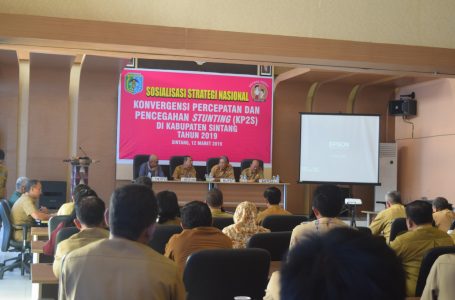 Sosialisasikan Strategis Nasional Cegah Stunting