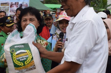 ASN Sintang Diwajibkan Beli Beras Produksi Lokal