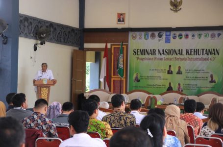 Kawasan Hutan Sintang Tinggal 970 Ribu Hektar