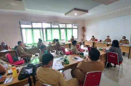 Desa Wajib Miliki Data Ibu Hamil
