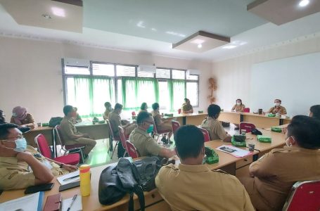 Sintang Komitmen Tekan Angka Kematian Ibu