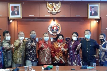 Abu Limbah Batubara, Bahan Strategis Baru