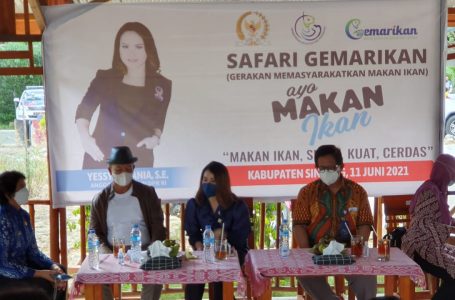 Anggota DPR RI Kunjungi Sintang, Wabup Sampaikan Ini