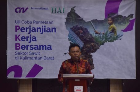 Pemkab Sintang Akan Cabut Izin Perusahaan yang Masuk Kawasan Hutan
