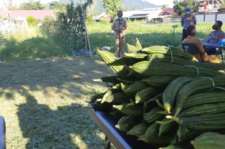 Wabup Kayong Utara Apresiasi Agro Sinergi Tani