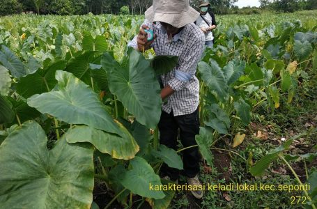 Wabup Kayong Utara Apresiasi Agro Sinergi Tani