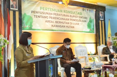 Pemkab Sintang Komitmen Wujudkan Pembangunan Lestari