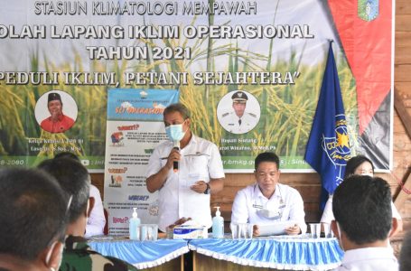 Sektor Pertanian Tahan Diterpa Pandemi Covid 19