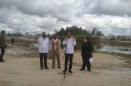 Cegah Banjir di Sintang, Jokowi Tanam Pohong di Bantaran Sungai
