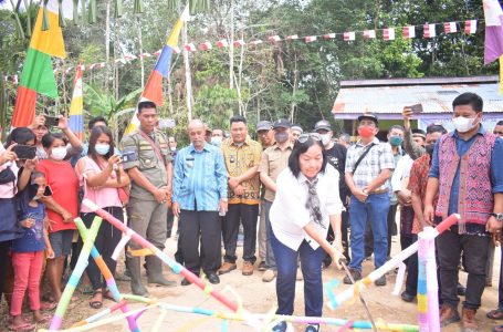Sekda Sintang Nyalakan Listrik Negara Perdana di Desa Mentunai