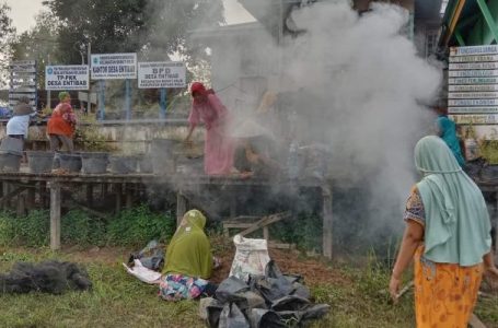 Cegah Stunting, Warga Desa Entibab Manfaatkan Pekarangan Rumah