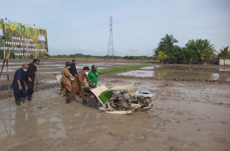 Bupati Sambas Ingin Tingkatkan Produksi Beras Lokal