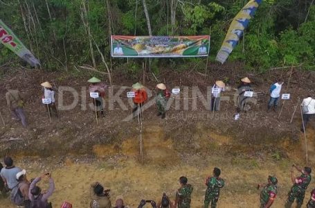 Bupati Sanggau Canangkan Kampung Hortikultura