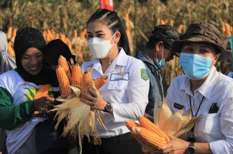 Pemkot Singkawang Tingkatkan Ketahanan Pangan