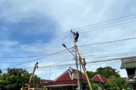 PLN UP3 Singkawang Lakukan Paralonisasi