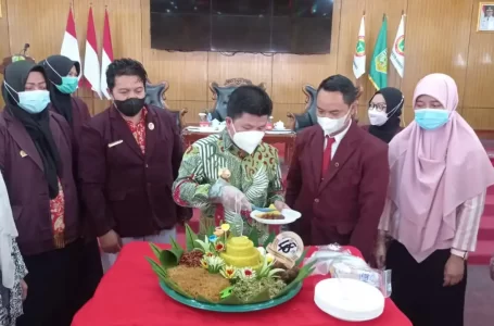 Bupati Sambas Apresiasi Kinerja Perawat Pada Masa Pandemi