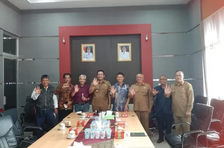 IJB Net Lakukan Penanaman Tanaman Nyamplung di Sambas