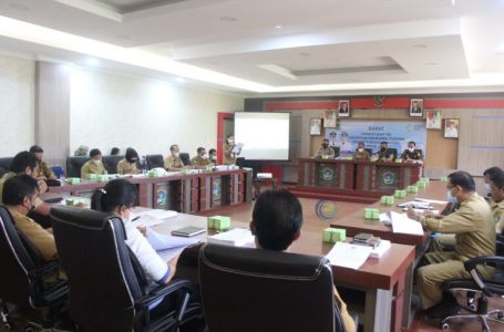 Pemda Kabupaten Sekadau  Bentuk TPPS