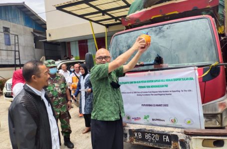Satpol PP Kapuas Hulu Lakukan Pengamanan Launching Kratom
