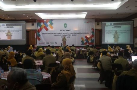 Sekda Harisson Buka Workshop Perencanaan Anggaran SKPD