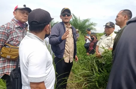 Wabup Rofi Lakukan Pemantauan Pembangunan Jalan Desa Santaban