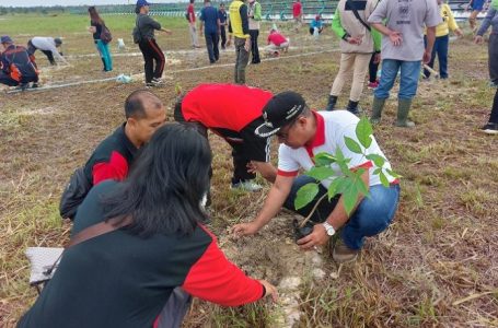 DLH Singkawang Tanam 75 Pohon di  Kawasan Lahan Kritis