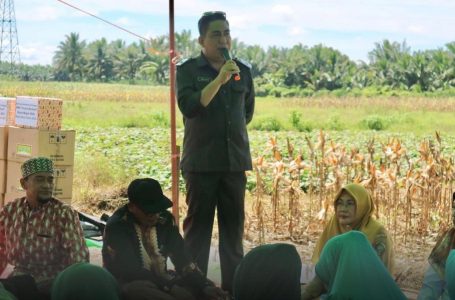 Tingkatkan Hasil Panen, Pagi Harap Petani Pelajari Teknologi Pertanian