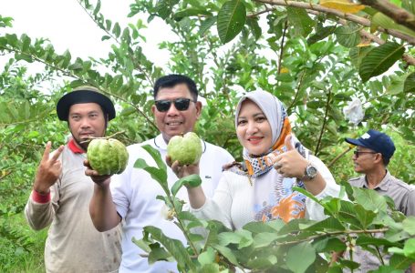 Bupati Citra Apresiasi Agrowisata Jambu Cristal Milik Tenaga Honorer