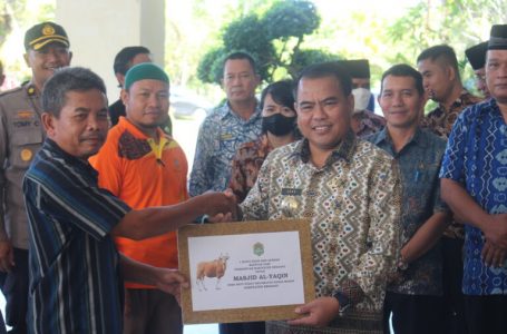 Bupati Sekadau Serahkan 12 Ekor Sapi