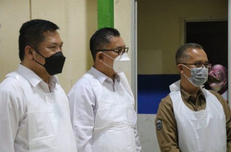 Kementan RI Harap Kalbar Zero PMK