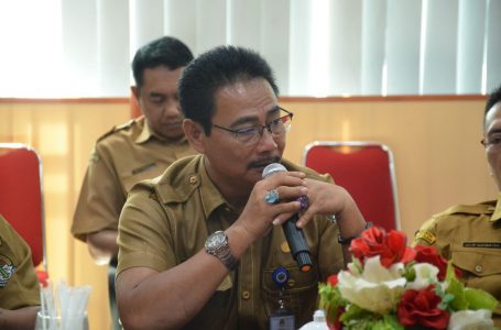 Puncak HAORNAS, Pemda akan Launching CFD