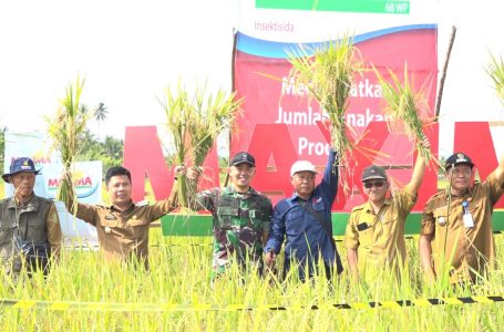 Satono Yakin Hasil Pertanian di Sambas Kian Meningkat