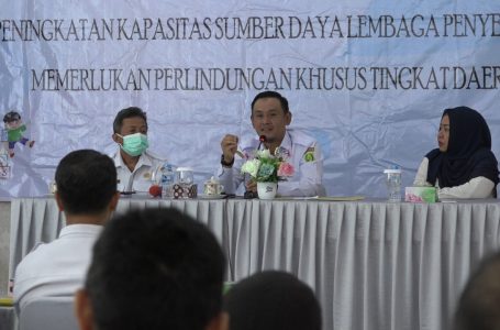 Pelatihan Aktivis Perlindungan Anak Terpadu Berbasis Masyarakat Dibuka