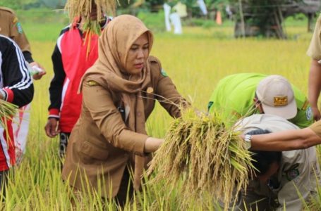 DPKPP Singkawang Hadiri Field Day