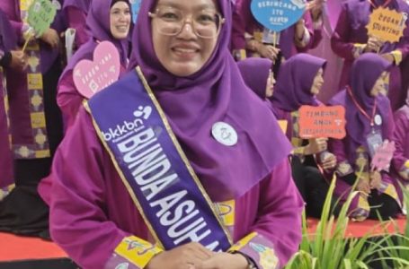 Alisa Kahdijah ICMI Jadi Ibu Asuh Stunting