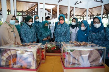 Ketua TP PKK Apresiasi  Hasil Kerajinan Karya Disabilitas