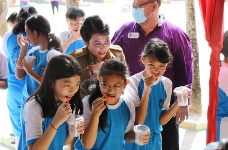 Peringatan HKGN, Wakot Harap Edukasi PHBS Terus Digencarkan 