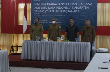 Mini Lokakarya Penyusunan Rencana Aksi Satu Data Sukses Digelar