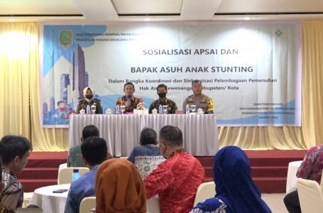 Rofi Harap APSAI Dapat Atasi Permasalahan Anak