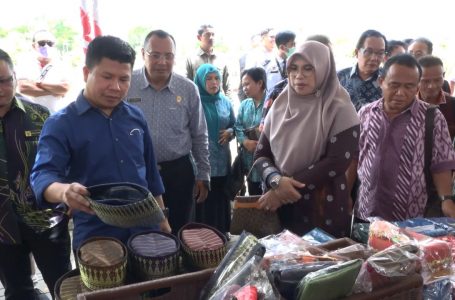 Bupati Harap Pelaku Usaha UMKM Tembus Pasar Ekspor