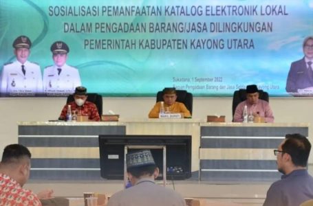 Wabup Effendi Buka Sosialisasi Pemanfaatan e – Katalog Lokal
