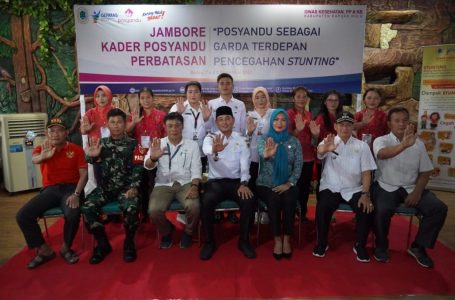 Jambore Kader Posyandu Perbatasan Sukses Digelar