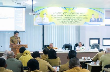 Launching E – Consulting Inspektorat dan Pembukaan SPIP