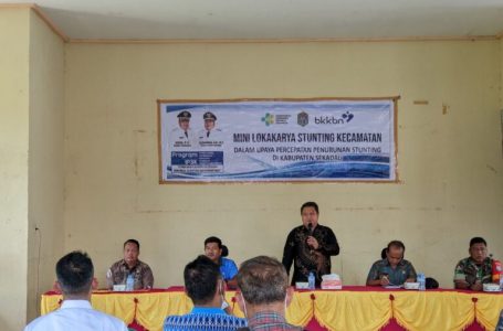 Percepat Penurunan, Mini Lokakarya Stunting Dibuka